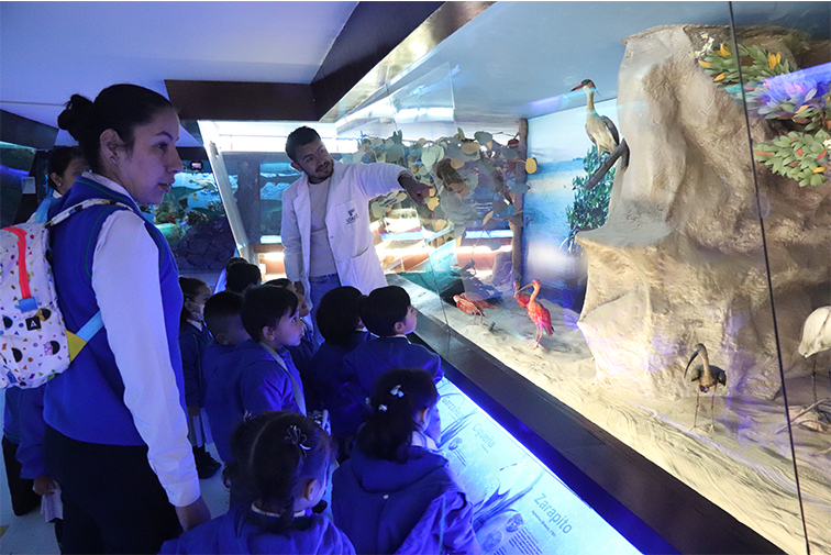 Foto Mimositos Jardín Infantil
